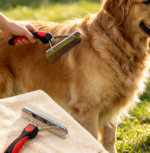 Steel Rake Grooming Tool For Long-Haired Large Dogs