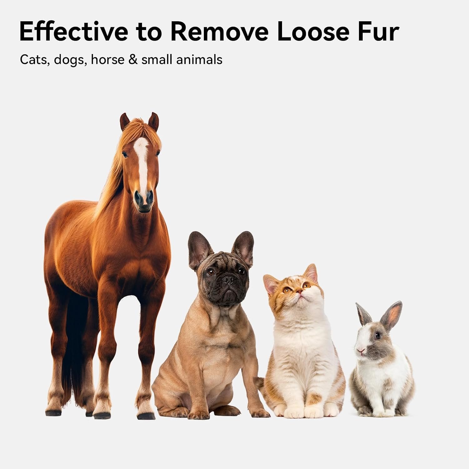 Grooming Brush For Loose Fur Removal (Cats, Dogs, Rabbits) - Image 2